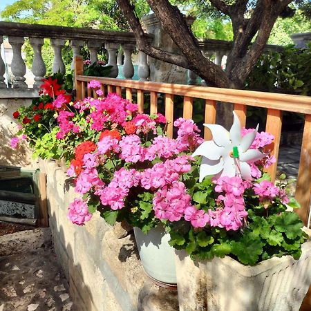 Charmant Appart Avec Jardin Aigues-Mortes Exterior photo