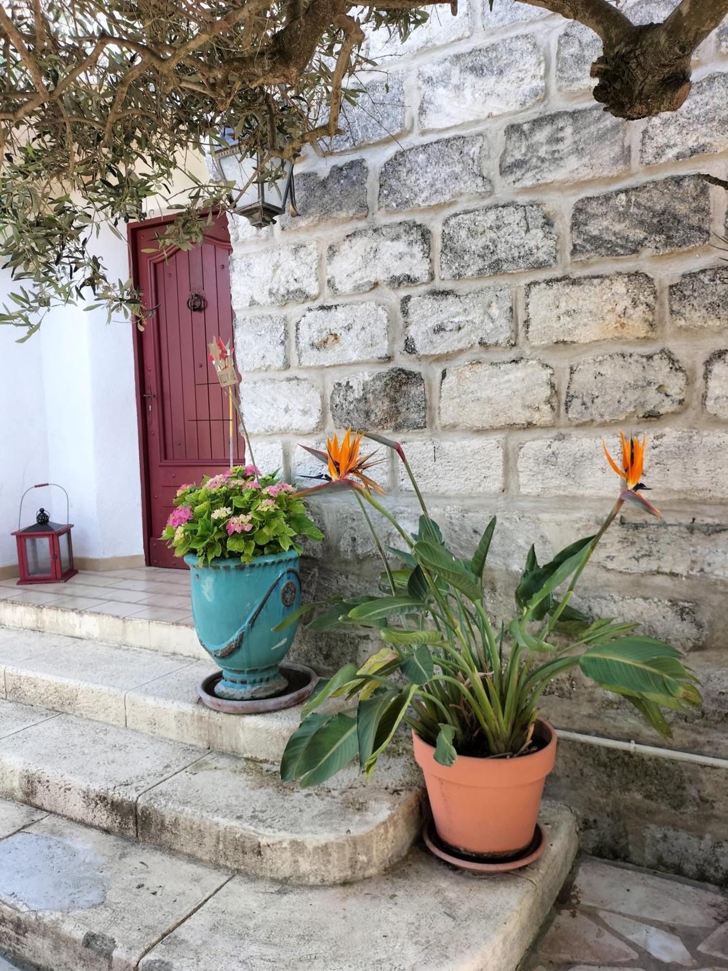 Charmant Appart Avec Jardin Aigues-Mortes Exterior photo